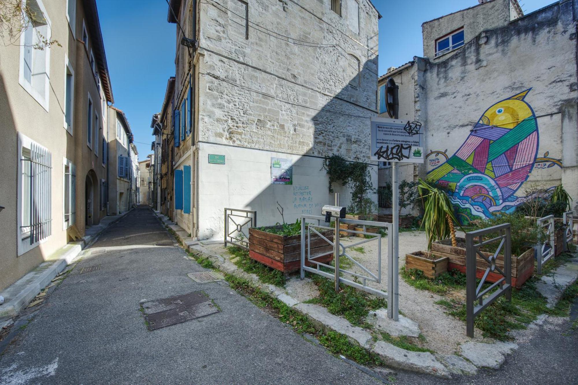 Appartement Cosy Avignon Centre-Ville エクステリア 写真